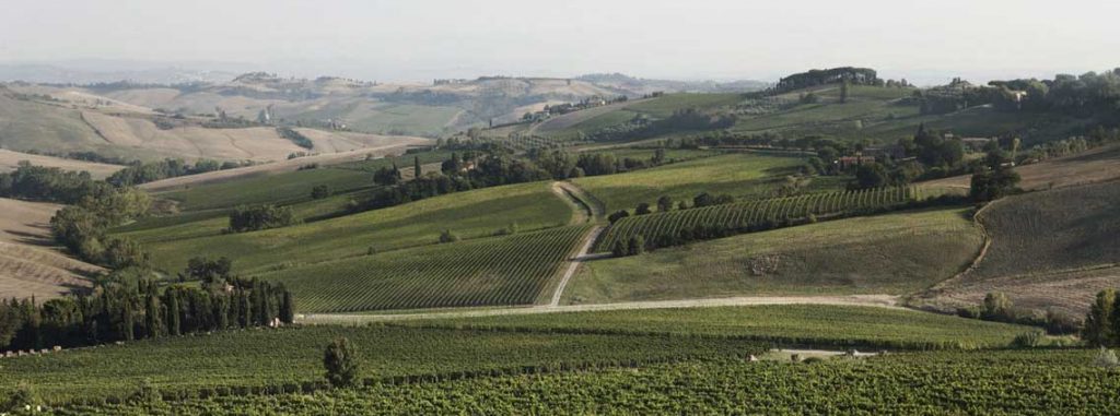 Prestigiose Tenute Agricole E Vitivinicole In Toscana E Umbria ...