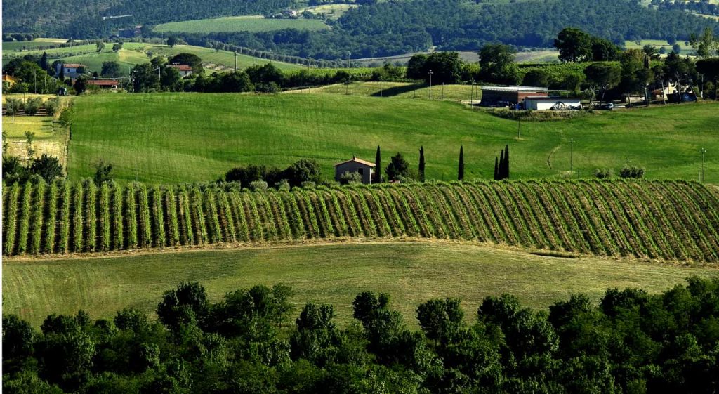 Prestigiose Tenute Agricole E Vitivinicole In Toscana E Umbria ...