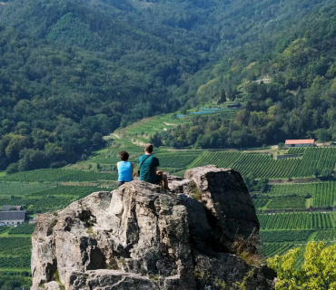 Italia, ,Tenuta Agricola,Cantine e Vigne,1143