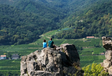 Italia, ,Tenuta Agricola,Cantine e Vigne,1143