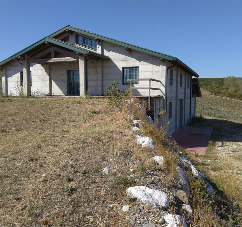 appennino, broni, pavia, Italia, 2 Stanze Stanze,1 BagnoBagno,Tenuta Agricola,Cantine e Vigne,appennino,1022