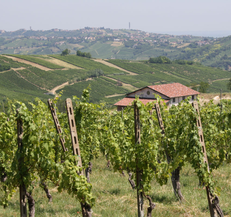 appennino, broni, pavia, Italia, 2 Stanze Stanze,1 BagnoBagno,Tenuta Agricola,Cantine e Vigne,appennino,1022